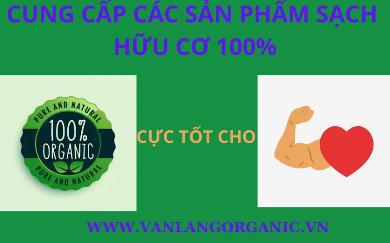 CÁC SẢN PHẨM SẠCH HỮU CƠ